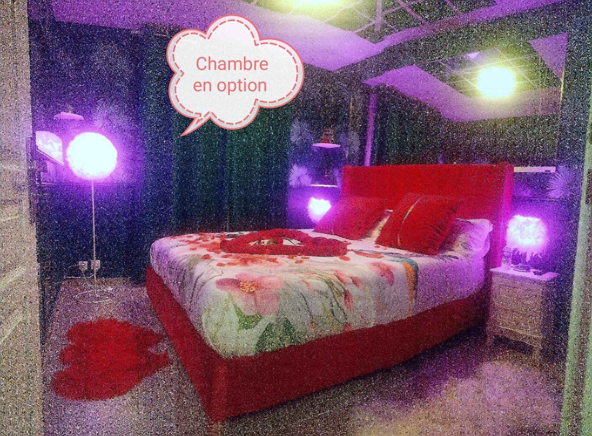 Romantisme Et Glamour 2 Avec Spa , Clim Et Jardin Ντιζόν Εξωτερικό φωτογραφία
